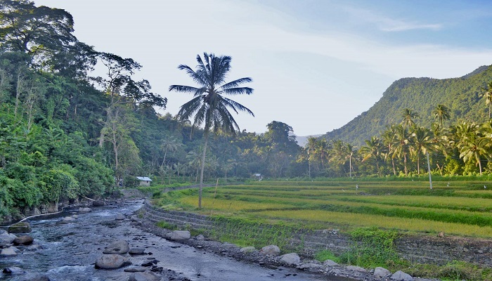 desa wisata sudaji